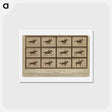 アートポストカード-The Horse in Motion
 - エドワード マイブリッジ Postcard.