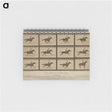 2-61_Eadweard-Muybridge_memo