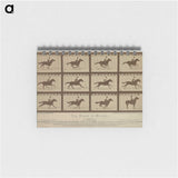 2-61_Eadweard-Muybridge_memo