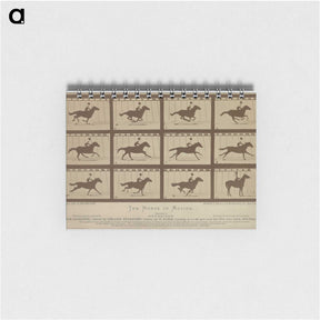 2-61_Eadweard-Muybridge_memo
