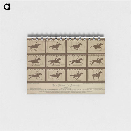 2-61_Eadweard-Muybridge_memo
