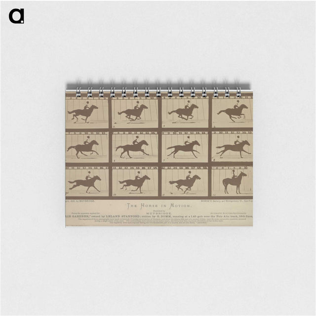 2-61_Eadweard-Muybridge_memo