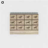 アートメモ帳-The Horse in Motion
 - エドワード マイブリッジ Memo.