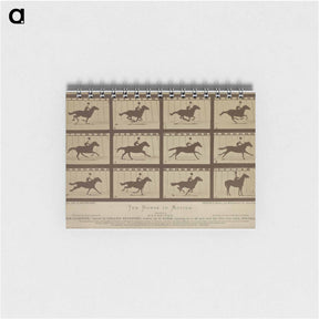 アートメモ帳-The Horse in Motion
 - エドワード マイブリッジ Memo.