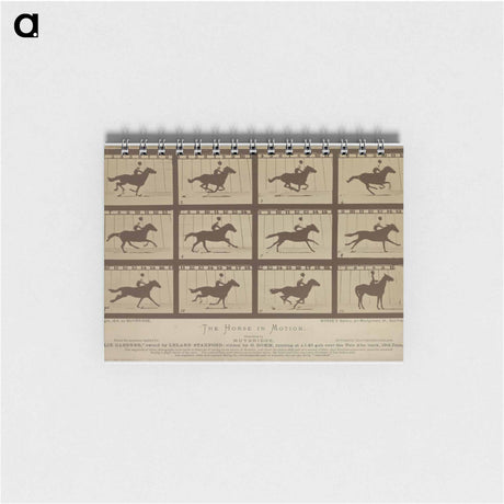 アートメモ帳-The Horse in Motion
 - エドワード マイブリッジ Memo.