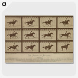 2-61_Eadweard-Muybridge_picture-crop