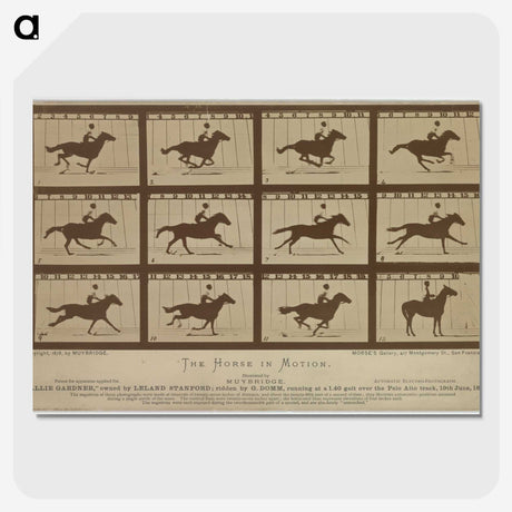 2-61_Eadweard-Muybridge_picture-crop