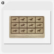 2-61_Eadweard-Muybridge_picture