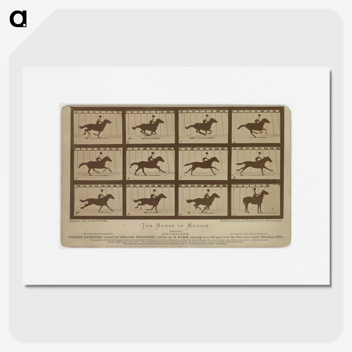 2-61_Eadweard-Muybridge_picture