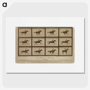 2-61_Eadweard-Muybridge_picture