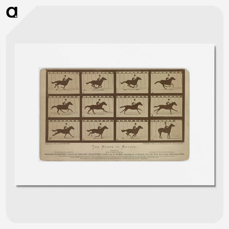 2-61_Eadweard-Muybridge_picture