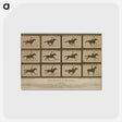 2-61_Eadweard-Muybridge_postcard