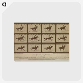 2-61_Eadweard-Muybridge_postcard