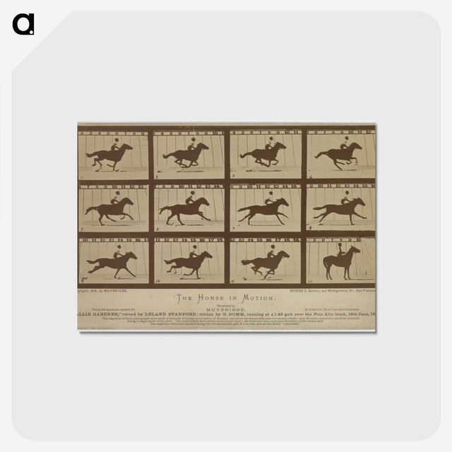 2-61_Eadweard-Muybridge_postcard