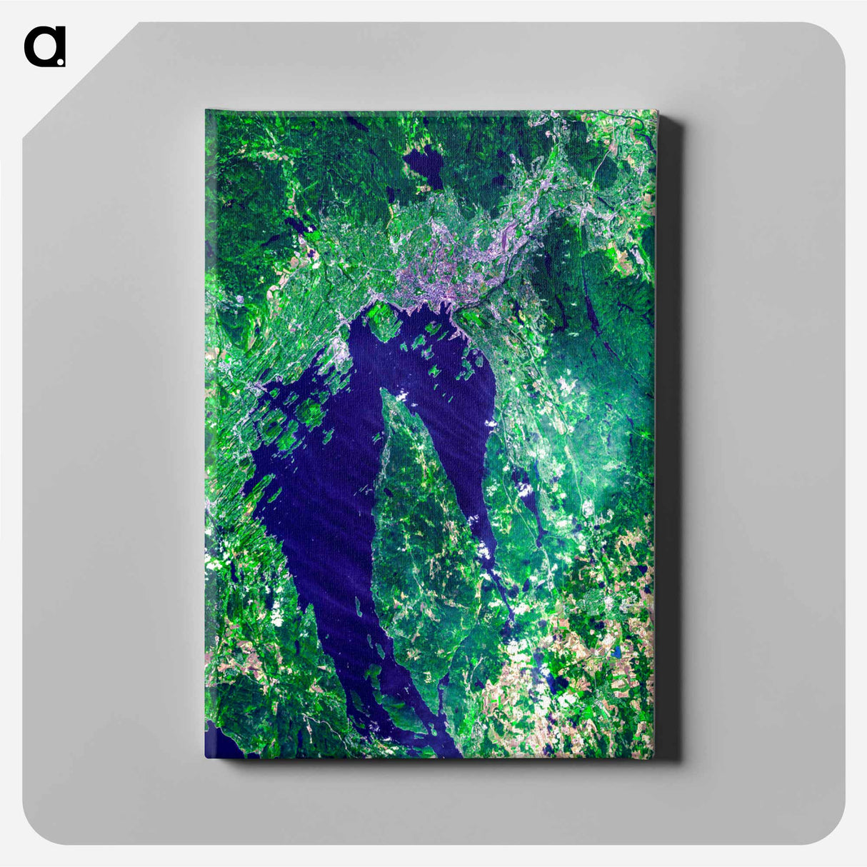 アートパネル-Oslo from Space
 - 上空からの地球 Canvas.