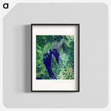 2-61_Earth-from-Above_blk