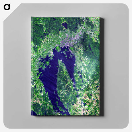 2-61_Earth-from-Above_canvas