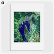 2-61_Earth-from-Above_picture