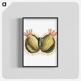 2-61_Ernst-Haeckel_blk-crop