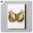 2-61_Ernst-Haeckel_canvas