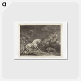 アートポストカード-A Horse Frightened by a Lion
 - ジョージ スタッブス Postcard.