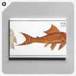 2-61_Ichtyologie-ou-Histoire-naturelle_canvas