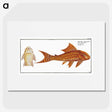 2-61_Ichtyologie-ou-Histoire-naturelle_picture