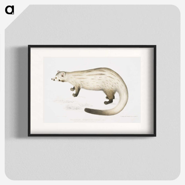 2-61_Indian-Zoology_blk