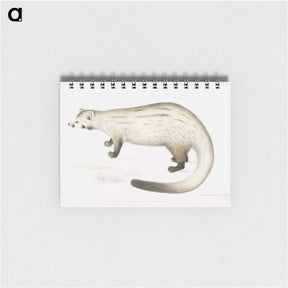2-61_Indian-Zoology_memo