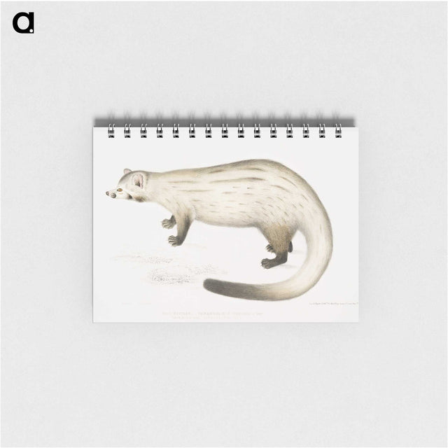 2-61_Indian-Zoology_memo