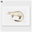 2-61_Indian-Zoology_picture