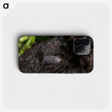 2-61_Insects-Unlocked-Project_phone