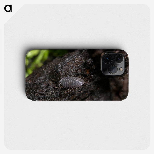 2-61_Insects-Unlocked-Project_phone