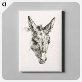 アートパネル-Head of a donkey - ジャン ベルナール Canvas.