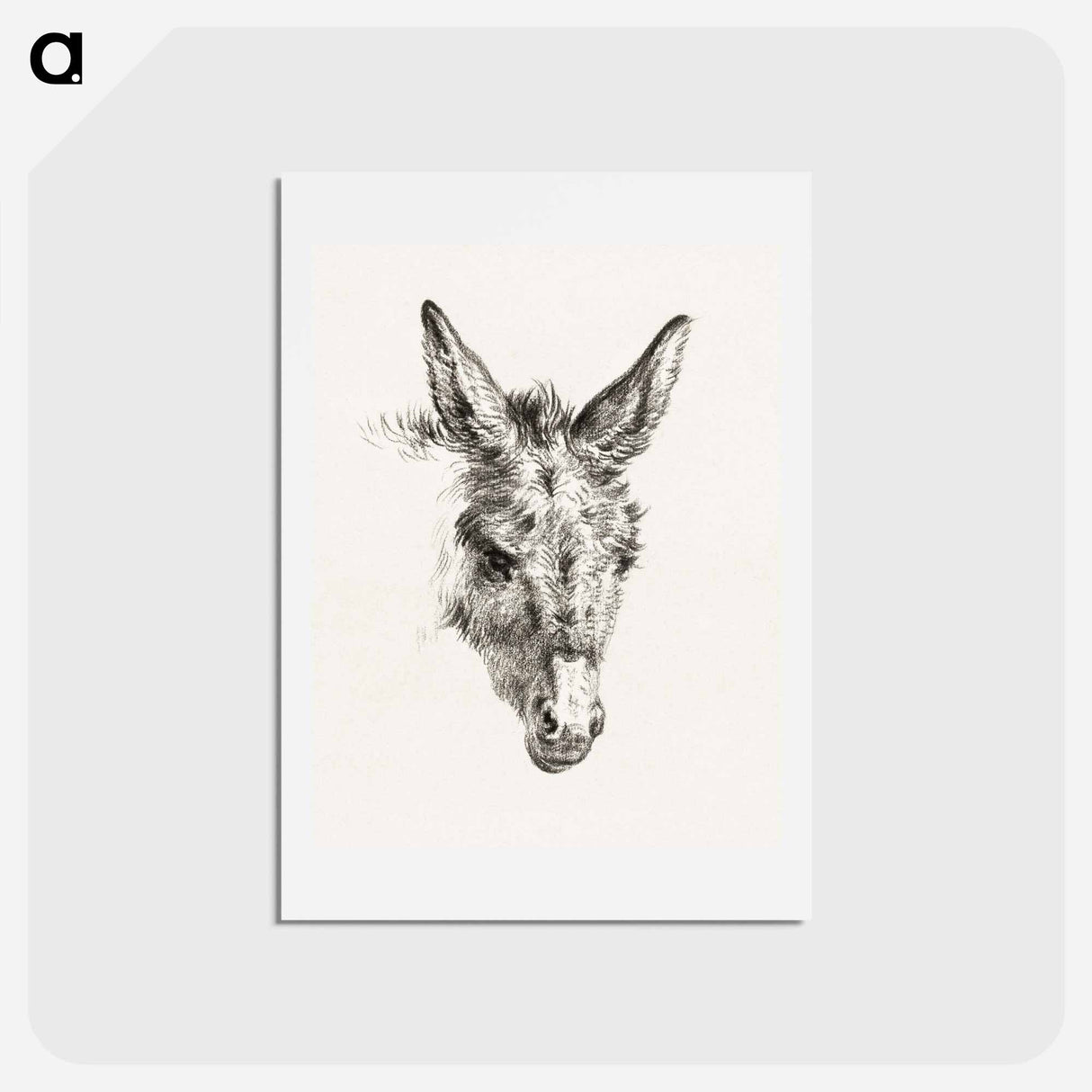 アートポストカード-Head of a donkey - ジャン ベルナール Postcard.