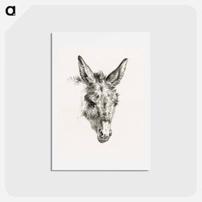 アートポストカード-Head of a donkey - ジャン ベルナール Postcard.