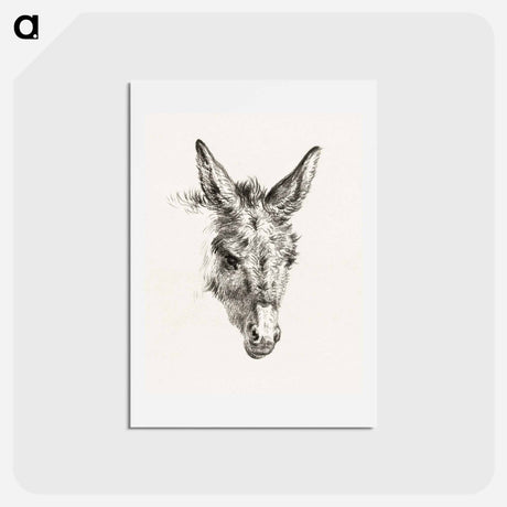 アートポストカード-Head of a donkey - ジャン ベルナール Postcard.
