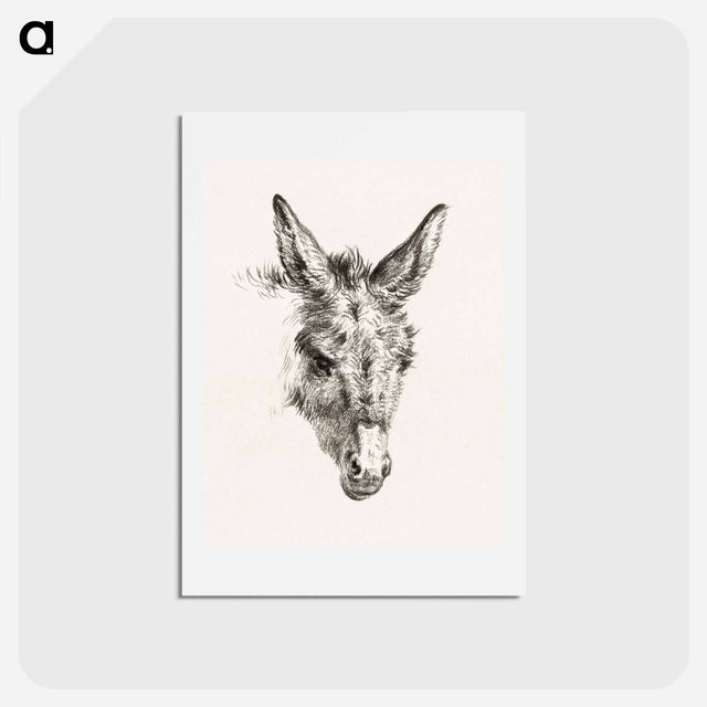 アートポストカード-Head of a donkey - ジャン ベルナール Postcard.