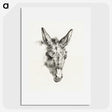 2-61_Jean-Bernard_picture