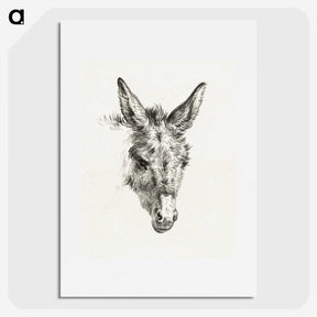 2-61_Jean-Bernard_picture