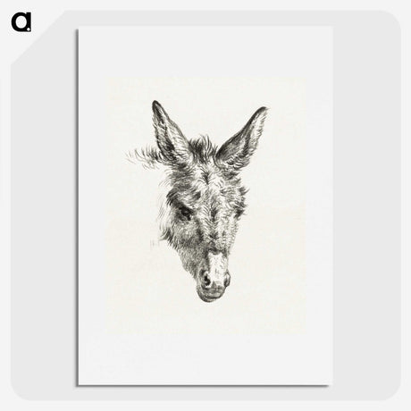 2-61_Jean-Bernard_picture