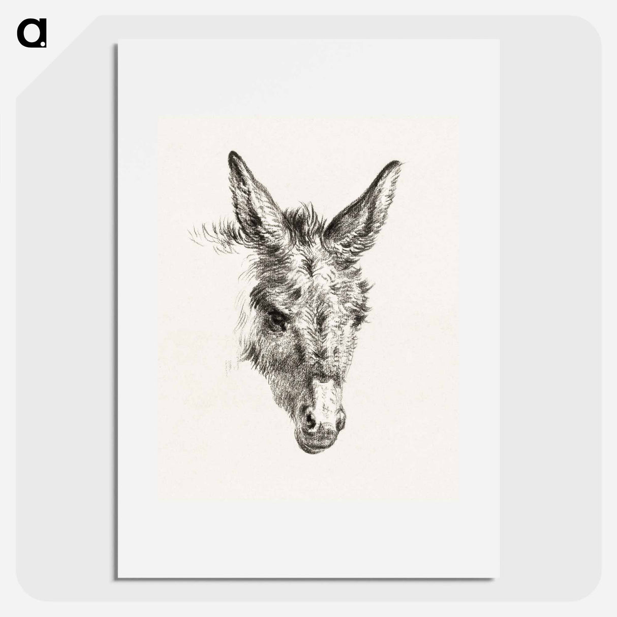 Head of a donkey - ジャン ベルナール Poster.