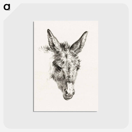 アートポストカード-Head of a donkey - ジャン ベルナール Postcard.