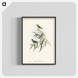 2-61_John-Gould_blk-crop