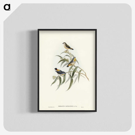 2-61_John-Gould_blk-crop