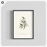 2-61_John-Gould_blk