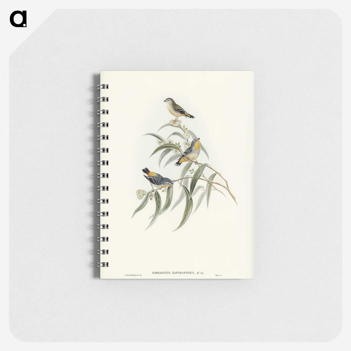 2-61_John-Gould_memo