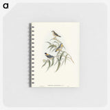 2-61_John-Gould_memo