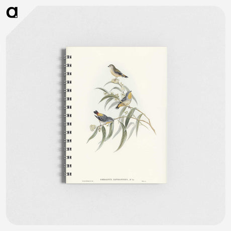 2-61_John-Gould_memo
