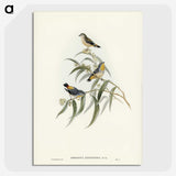 2-61_John-Gould_picture-crop